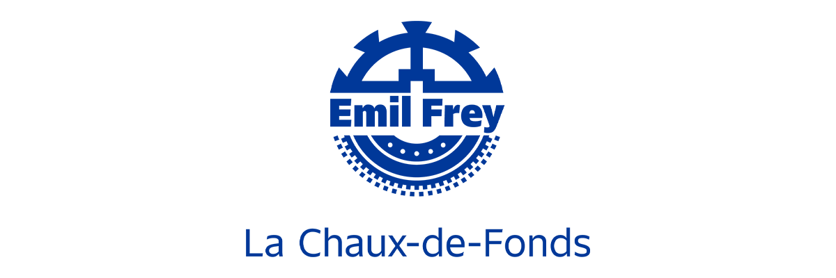 Conseiller de vente - voitures neuves & occasions, 1. portrait
