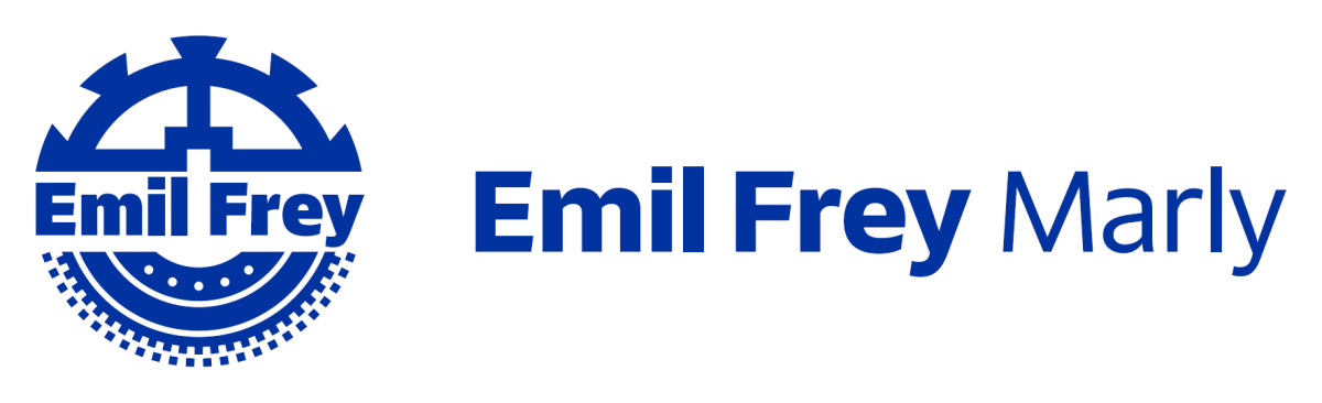 Conseiller service client, 1. portrait