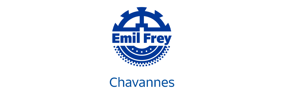 Conseiller du service clientèle, 1. portrait